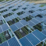Kenija testira nove solarne panele koji će proizvoditi energiju i osigurati hranu