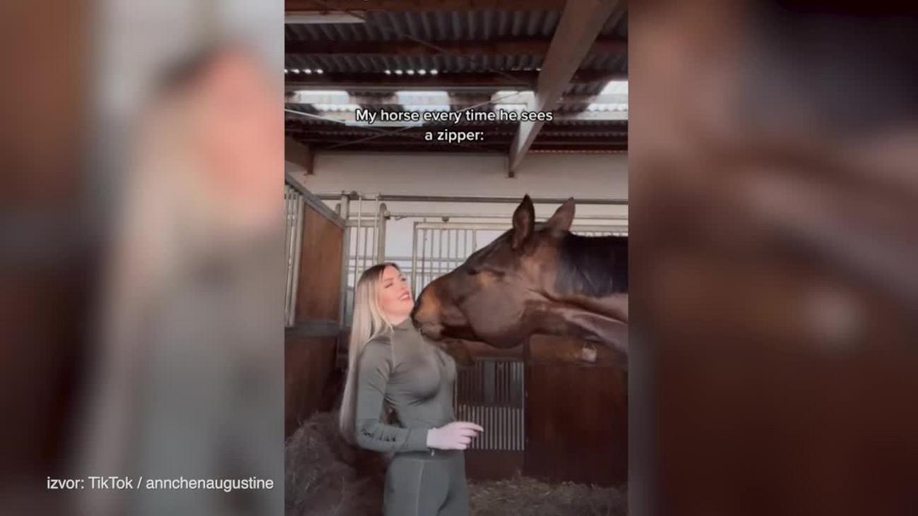 Plavuša prišla konju, a on joj RASKOPČAO trenerku jednim potezom (VIDEO)