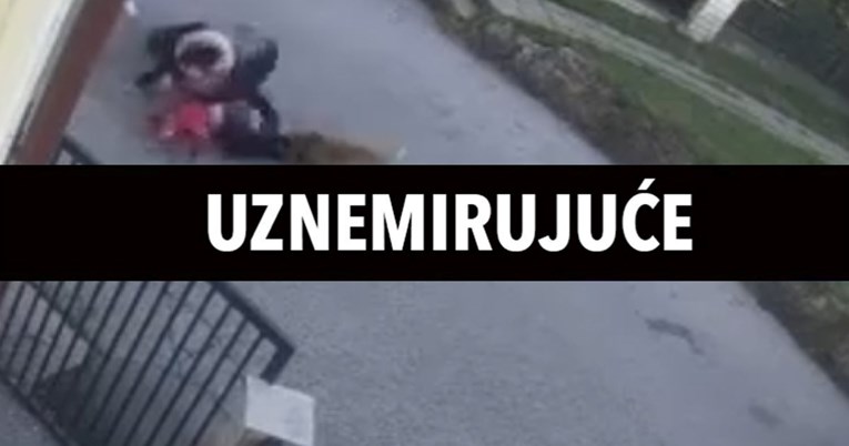 Pas napao prvašića ispred škole. Vlasnik: Nije on agresivan, samo je zaigran