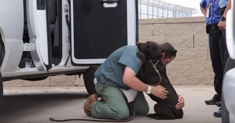 VIDEO: Zatvorenik se godinama brinuo o psu u zatvoru: Snimka njihovog rastanka rasplakala je